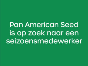 Pan American Seed THUMB