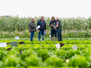 _groentetelers doen meer kennis vergaren over recente markttrends en -ontwikkelingen en om de allernieuwste rassen tijdens de discovery field days