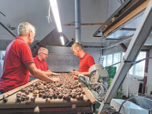 Nederlandse tulpenkwekers