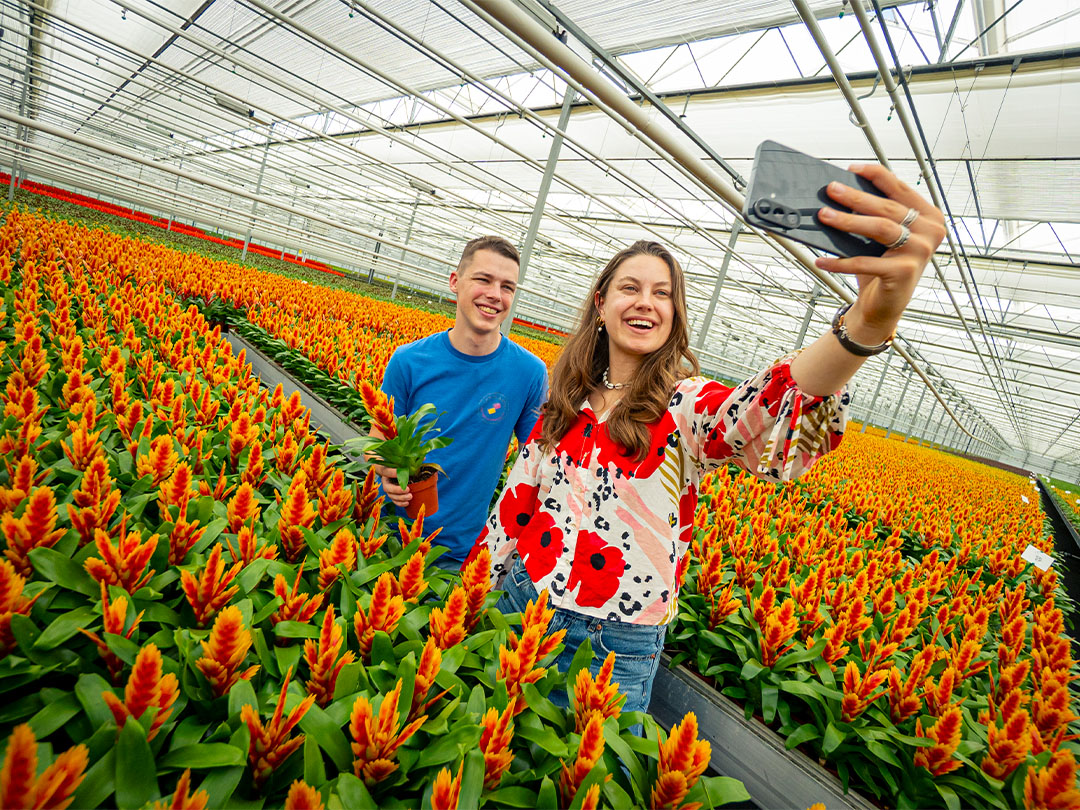 Wat komt er allemaal kijken bij het telen van miljoenen kamerplanten?