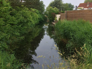Geef water de ruimte, check je sloot!