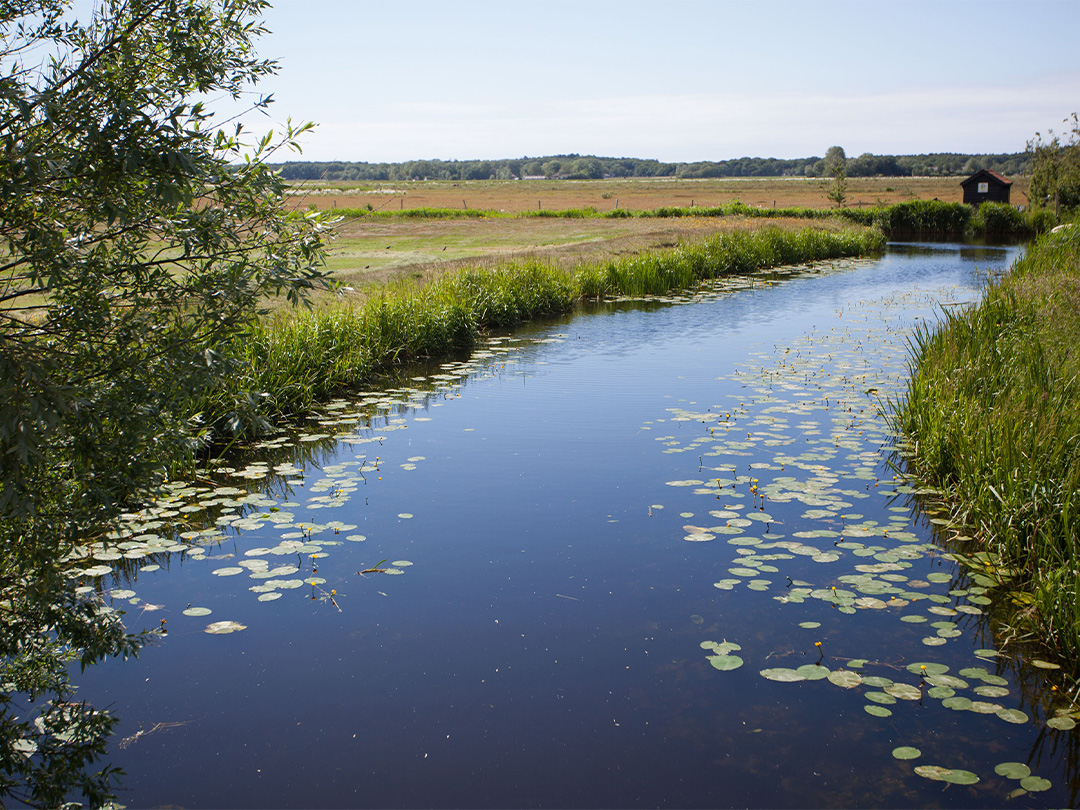 Hoogheemraadschap Hollands Noorderkwartier (HHNK) en Waterproef stoppen met het meten van dinoterb!