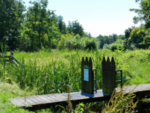 Ben je een natuurliefhebber en wil je graag je kennis vergroten en of delen met anderen?