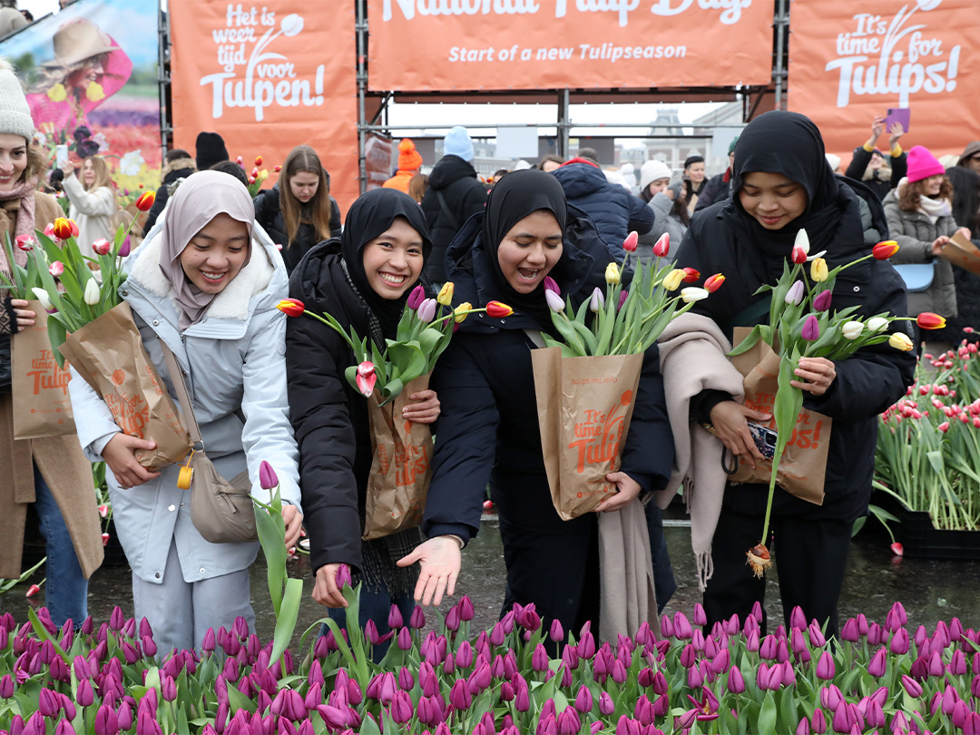 Op zaterdag 17 januari 2026 trapt Nederland het tulpenseizoen af met Tulpendag!