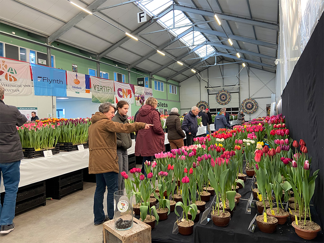 Op zoek naar een leuk uitje dicht bij huis?