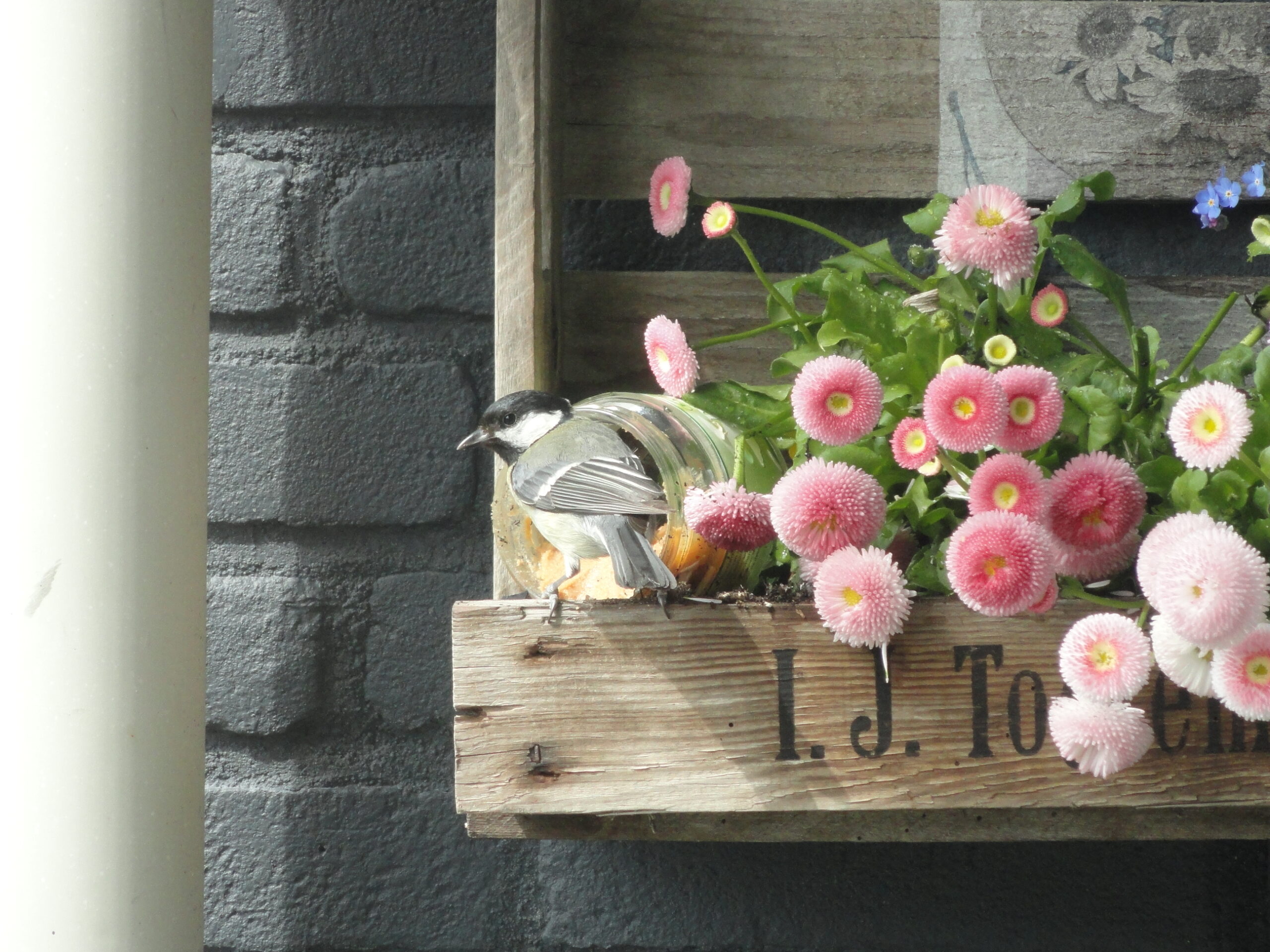 Hans van Wieren over balkons en terassen anno nu