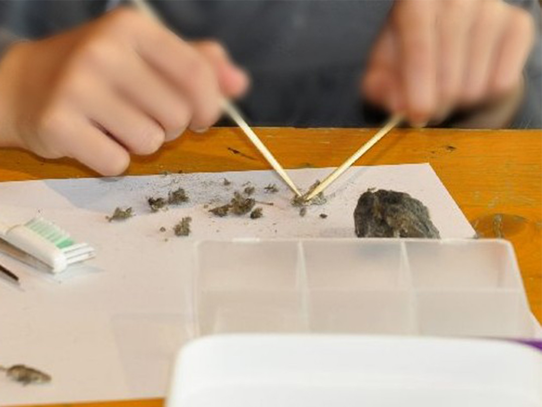 Voorjaarsvakantie vol natuurplezier bij MAK Blokweer