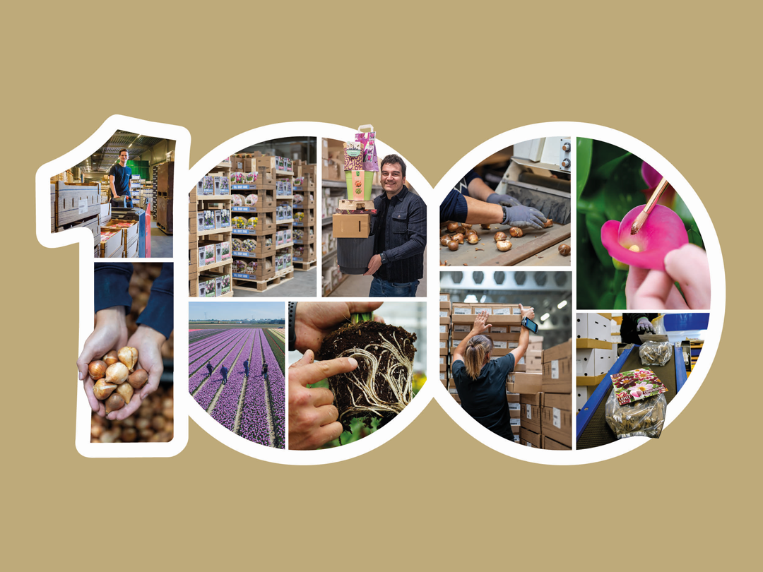 Open Dag bij Kapiteyn tijdens Bloemendagen Anna Paulowna