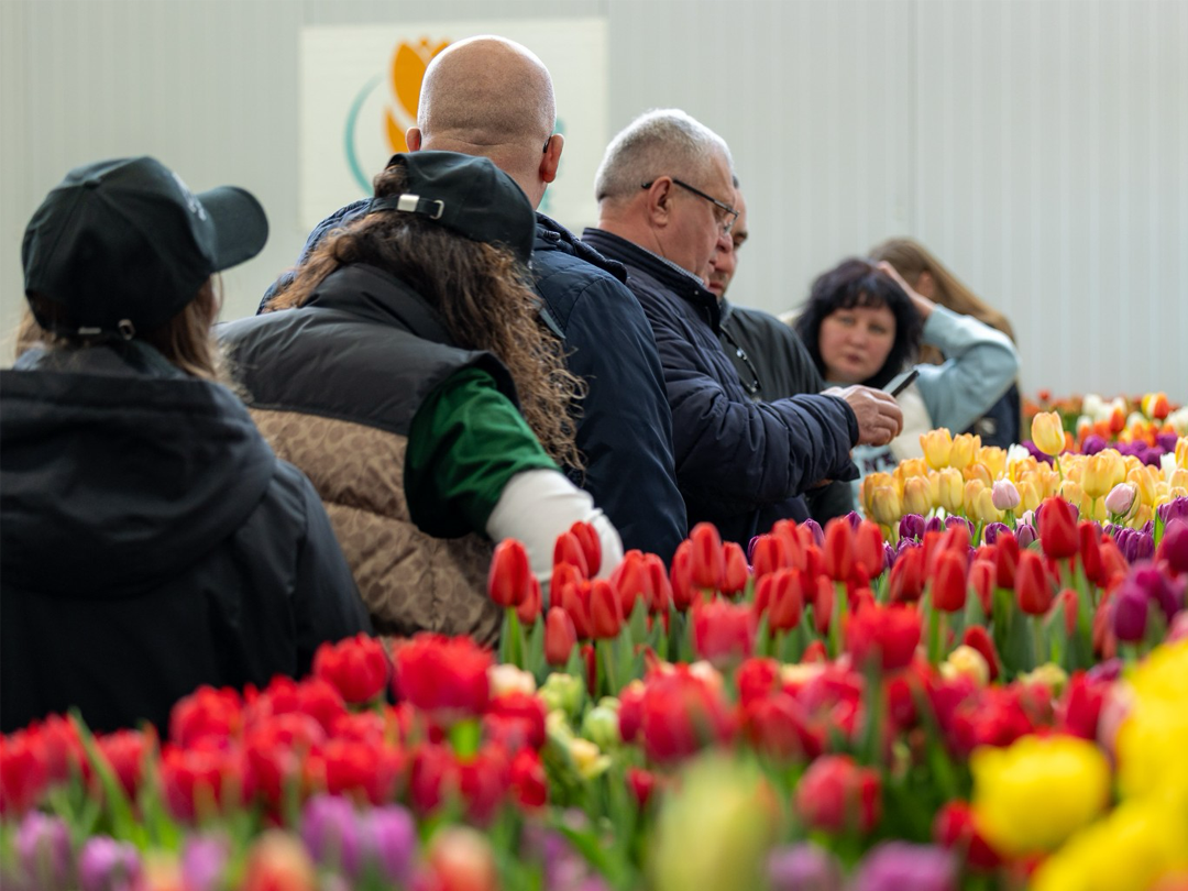 Tulip Trade Event 2026 kijkt terug op succesvolle zevende editie