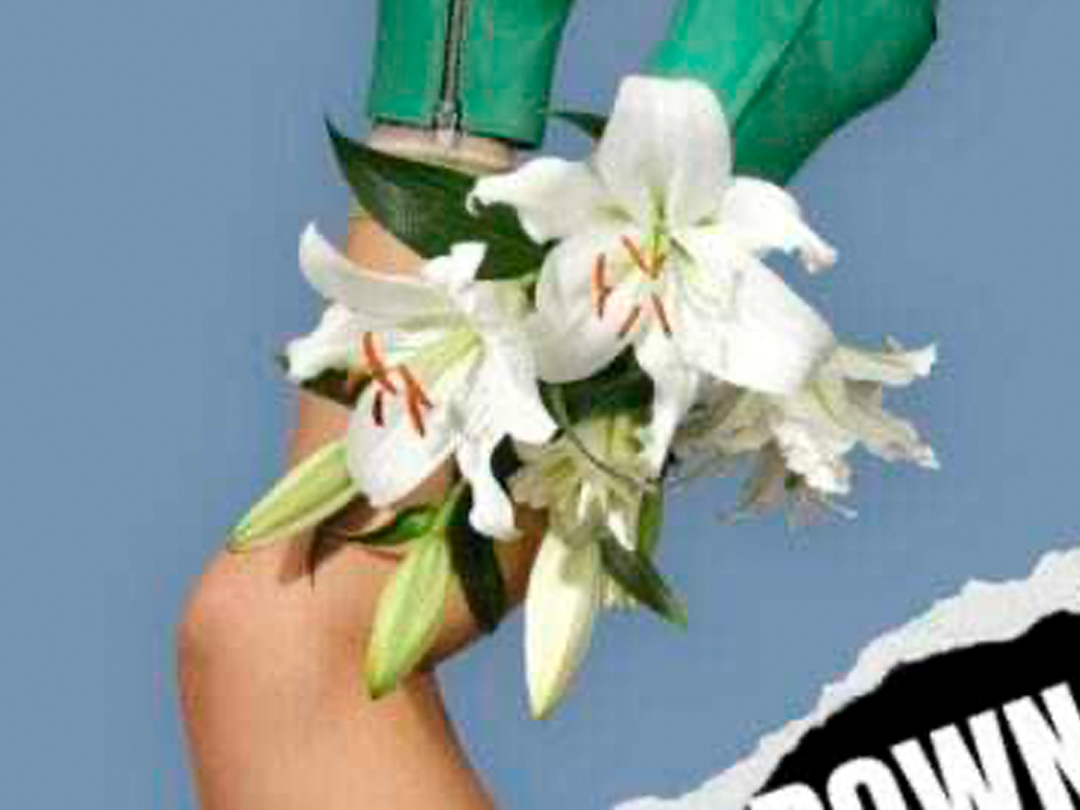 Nieuws en trends in land- en tuinbouw sector