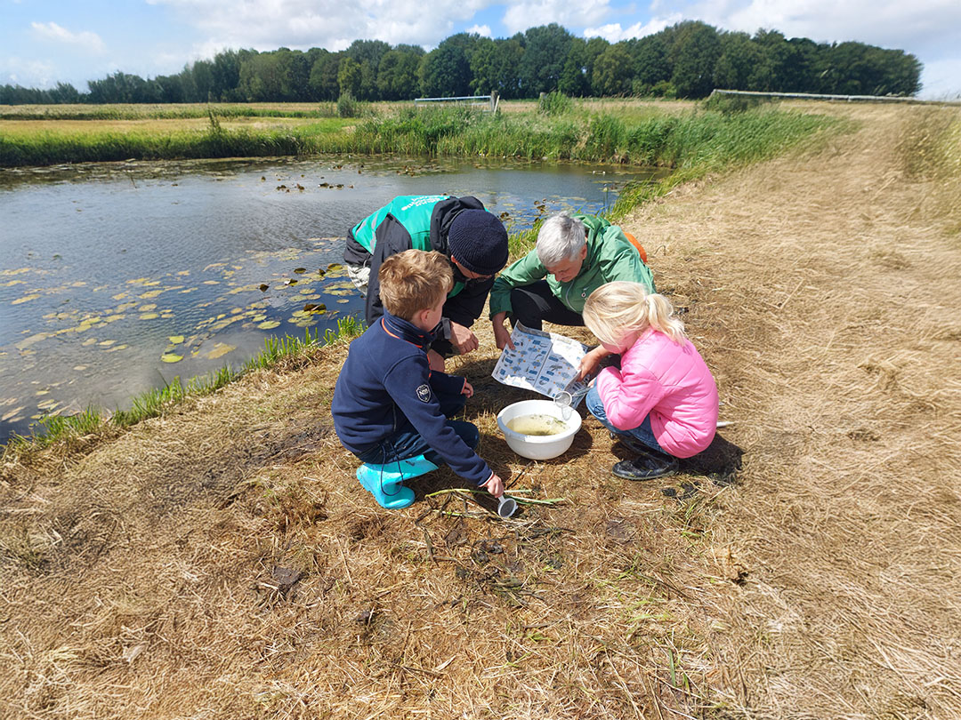 Waterdiertjes vangen in Oostwoud en Aartswoud
